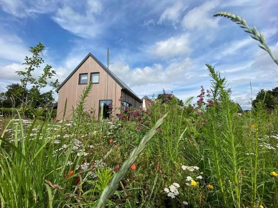 Haus Am See Rieste المظهر الخارجي الصورة
