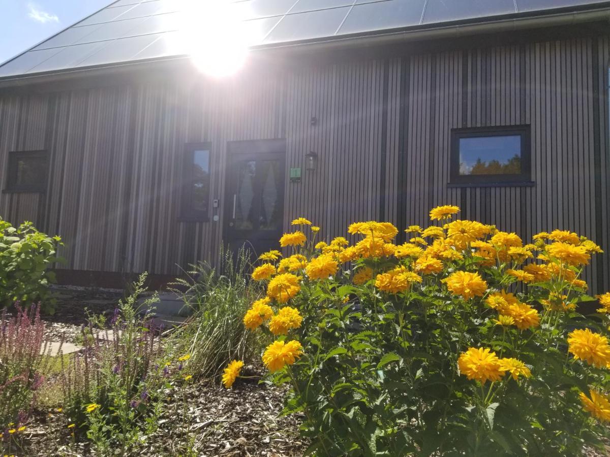 Haus Am See Rieste المظهر الخارجي الصورة